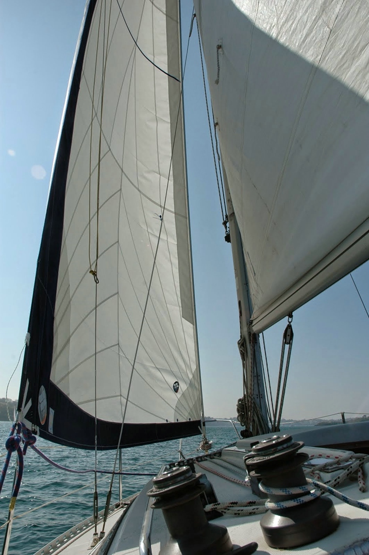 DSC09065